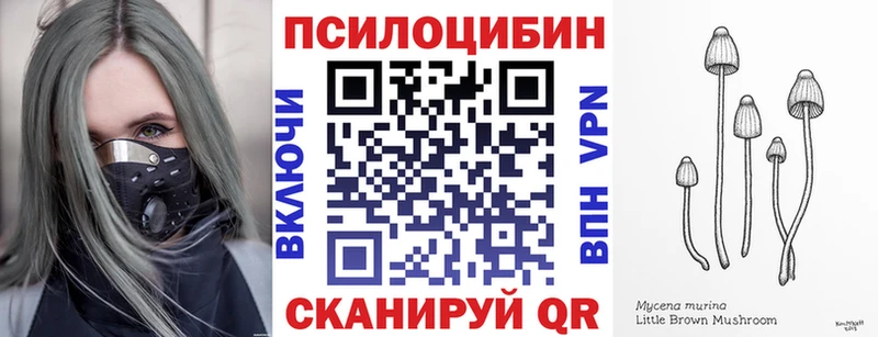 Галлюциногенные грибы Psilocybine cubensis Ахтырский