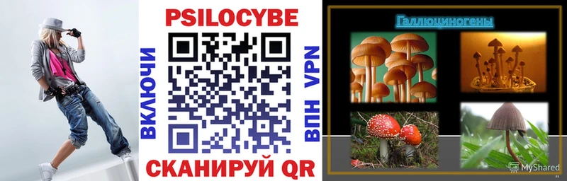 Псилоцибиновые грибы Psilocybine cubensis  Купить где  Ахтырский 